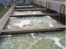 養殖廠污水處理