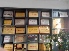 榮譽資質
