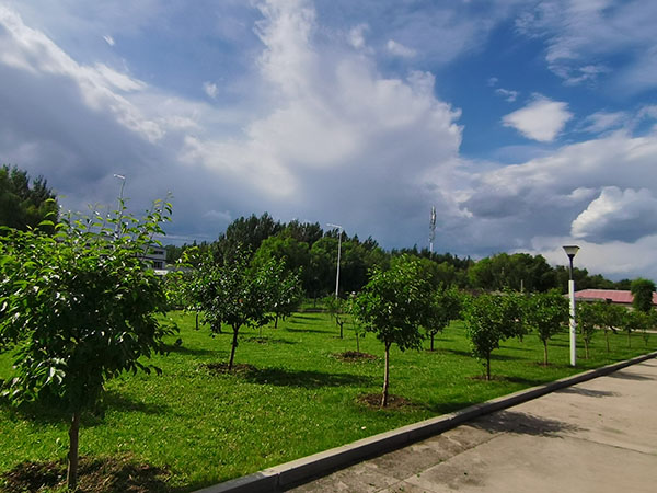 企業(yè)環(huán)境